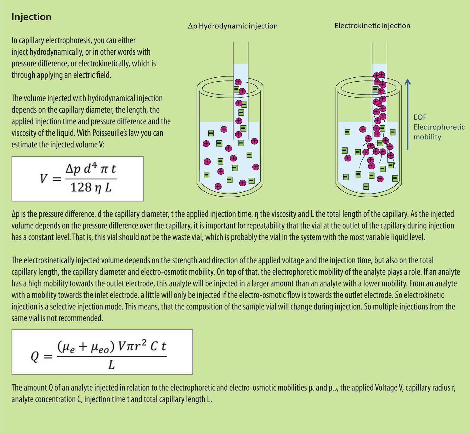 The Capillary Electrophoresis (CE) Capillary